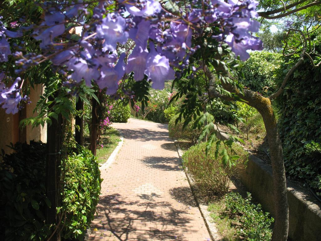 Villaggio L'Olivara Tropea Extérieur photo