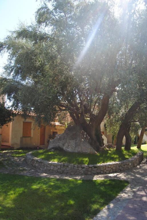 Villaggio L'Olivara Tropea Extérieur photo