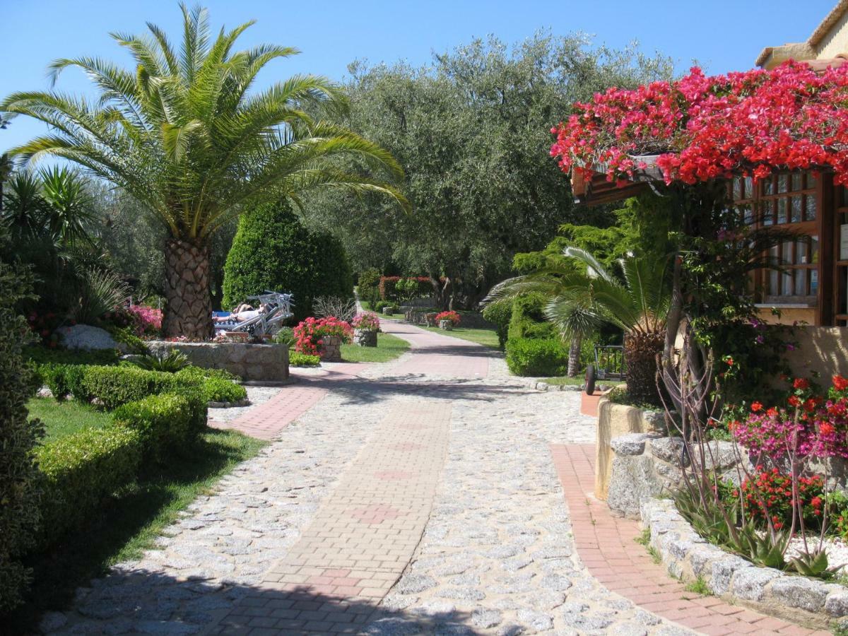 Villaggio L'Olivara Tropea Extérieur photo